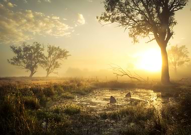 Big fish in a Small Pond