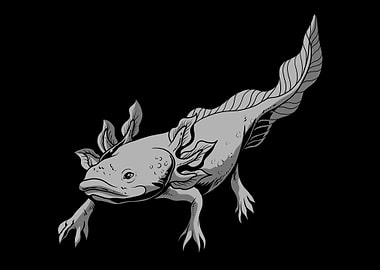 Axolotl Salamander