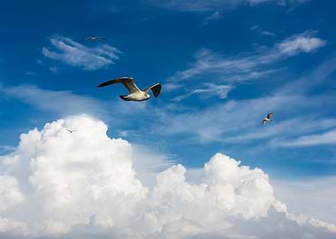 Spectacular white clouds