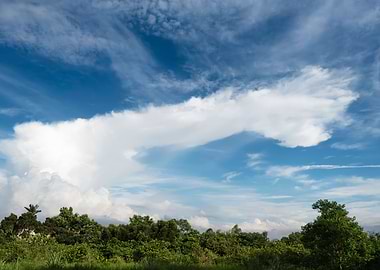 Spectacular white clouds