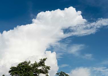 Spectacular white clouds