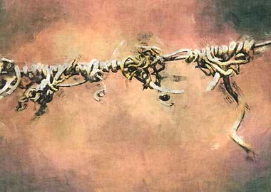 Thoughts at the vineyard