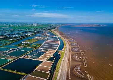 Shrimp farms by the sea