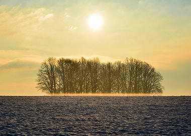 Winter idyll in the mornin