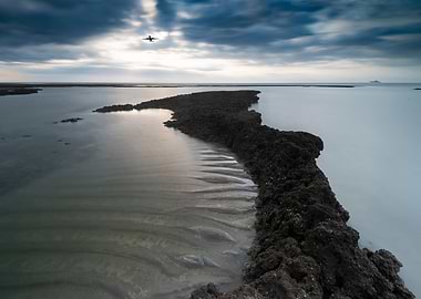 Algae Reef Landscape
