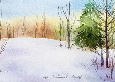 Watercolor Spruce Tree