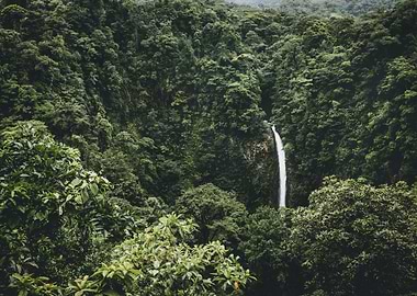 Surrounded by Nature