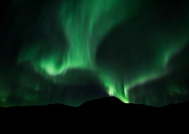 Auroras Beauty