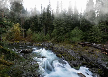 Olympic National Park
