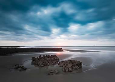 Algae Reef Landscape