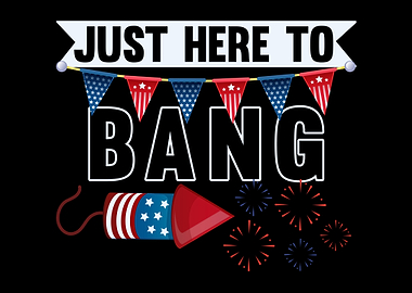 USA Fireworks Director