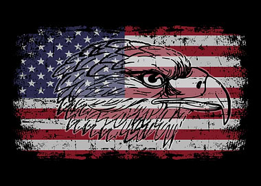 US american flag with eagl