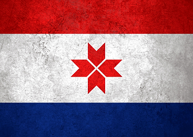 Flag of Mordovia on Wall