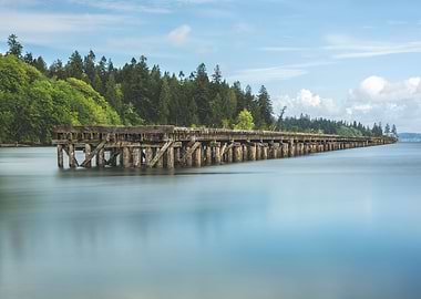 Woodard Bay Conservatory