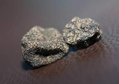 Black truffles close up