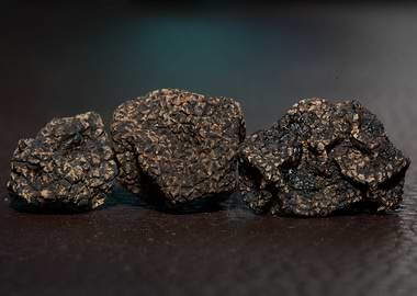 Truffles mushroom close up