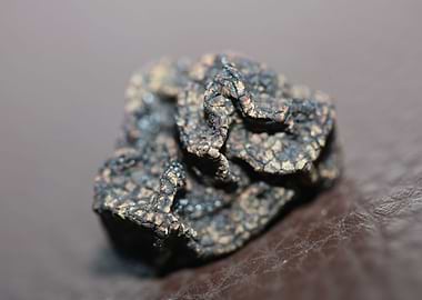 Black truffles close up