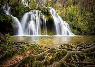 Waterfalls in the Forest