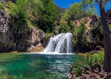Waterfall in the Forest