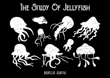 The Study Of Jellyfish
