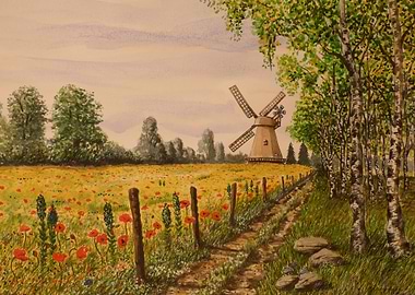 Mill and Red Poppies Field