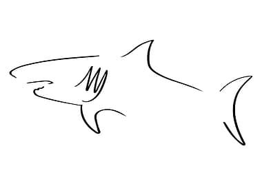 Shark Line Art Minimal