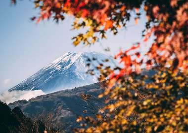 Mount Fuji in Autumn