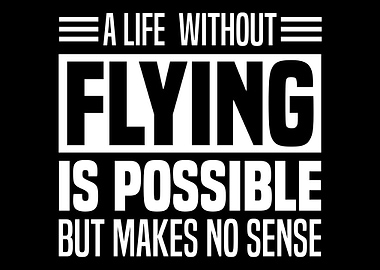 Airplane Pilot Aviation