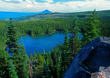 Mountain at Lake in Forest