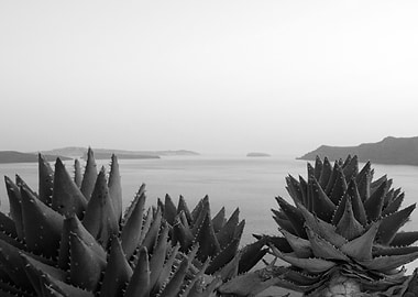 Santorini Zen Dream BW 2