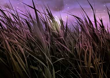 Purple night cattails