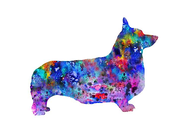 Pembroke Welsh Corgi