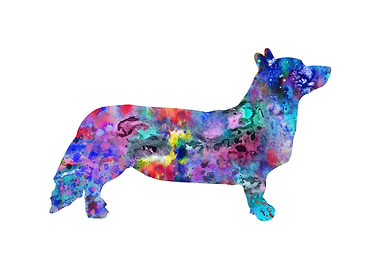 Cardigan Welsh Corgi