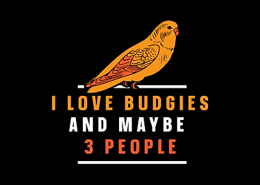 Budgie Budgeriga