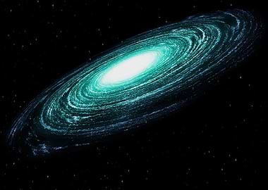 A beautiful colorful galax