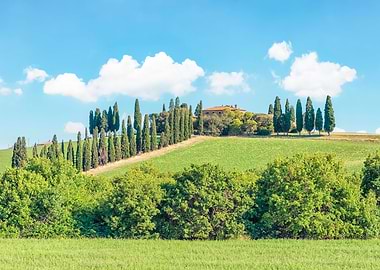 Green Tuscany
