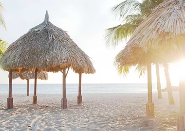 Caribbean Beach Oasis 1