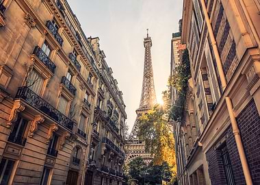 Paris Street