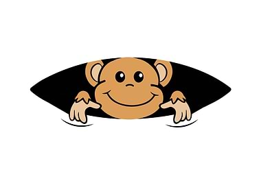 Baby monkey Pregnancy