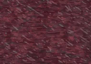 Abstract Magenta Floral