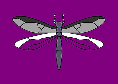 Ace Pride Dragonfly