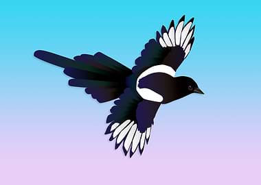 Flying magpie digital