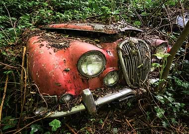 Lost Woods Jaguar S Type