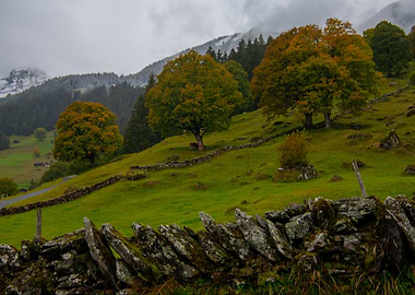 Typical Autumn in Swiss