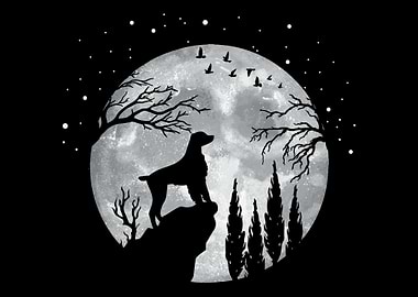 Brittany Spaniel Dogs