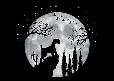 Wheaten Terrier Dogs