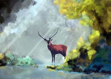 Deer Animal in Forest