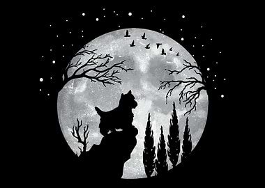 Yorkshire Terrier Dogs