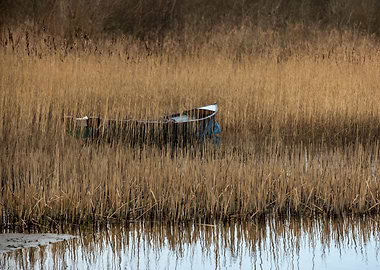 Boat on Lough Colgagh