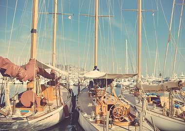 Boat Sailing Boats Ocean